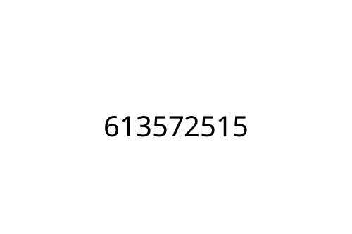 613572515