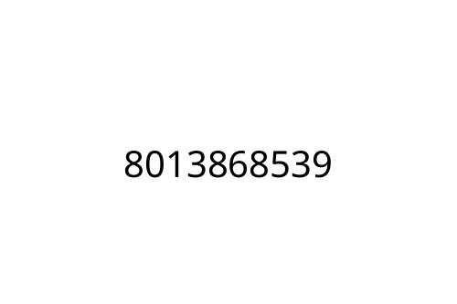 8013868539