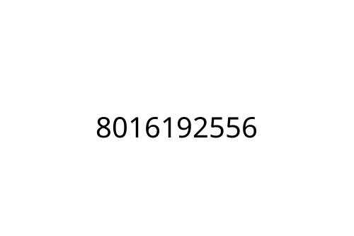 8016192556