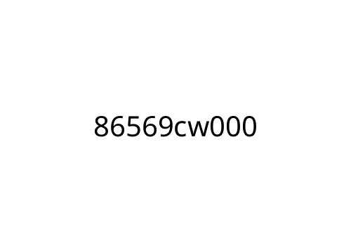 86569cw000
