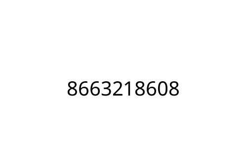 8663218608