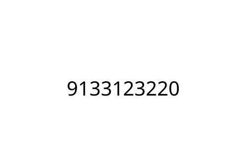 9133123220