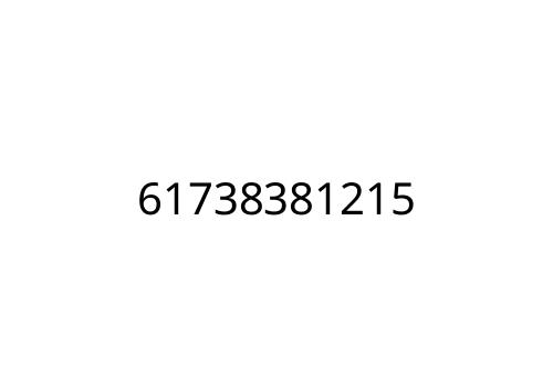 61738381215
