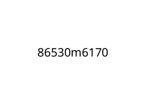 86530m6170