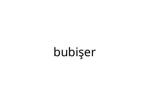 bubi_er