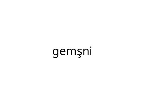 gem_ni