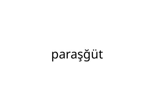 para___t