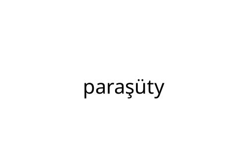 para__ty
