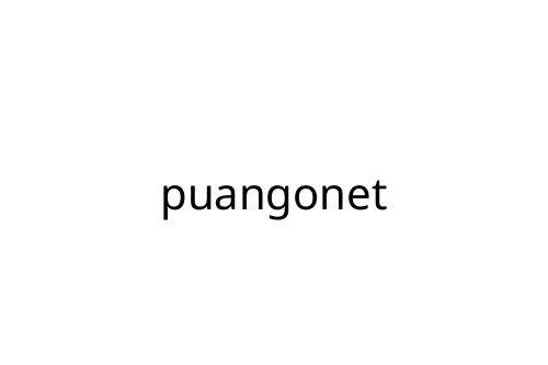 puangonet