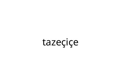 taze_i_e