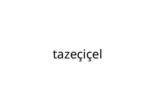 taze_i_el