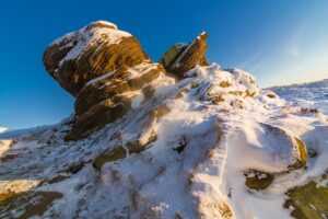 online food trends fhthopefood