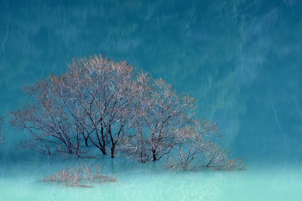 grandiamod1.2 download