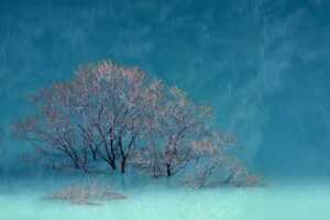 grandiamod1.2 download