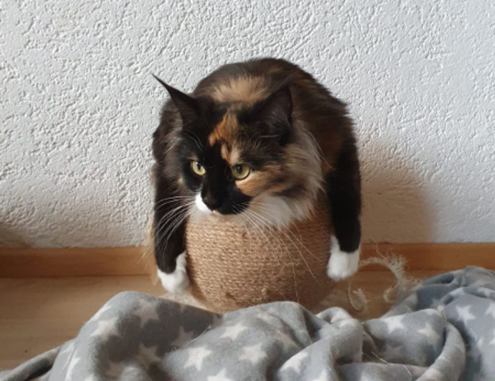 how does endbugflow software work