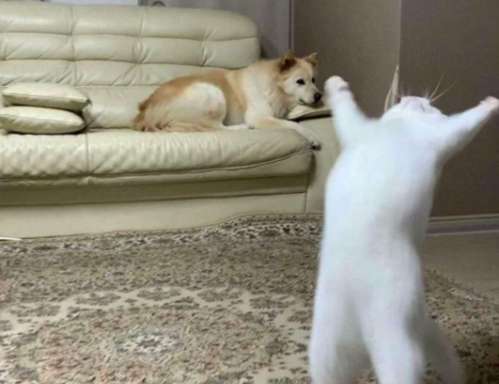 how endbugflow software can be protected