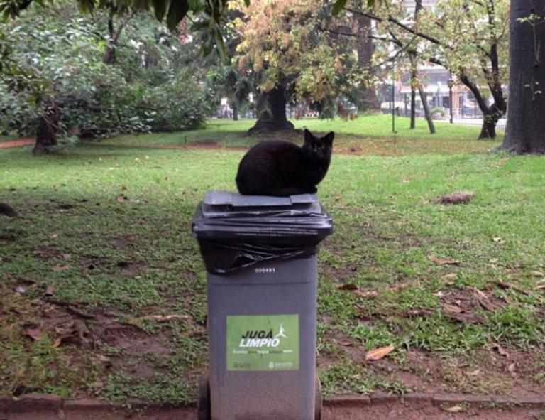 why are endbugflow software called bugs