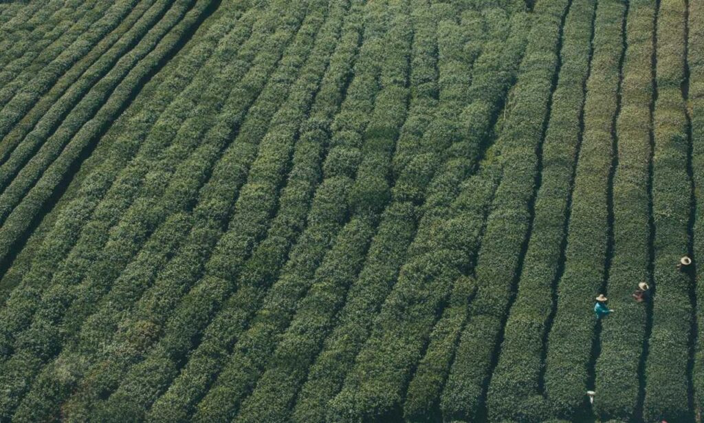 why updating immorpos35.3 software is important