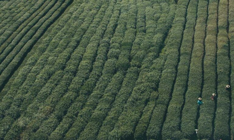 why updating immorpos35.3 software is important