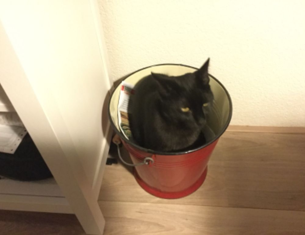 1441 significado amor