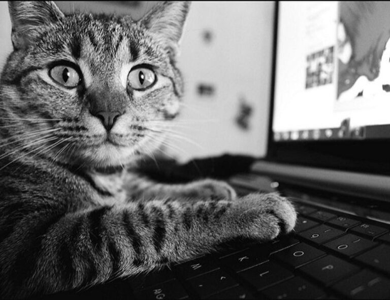 chicas lindas de 12 años para facebook falsos