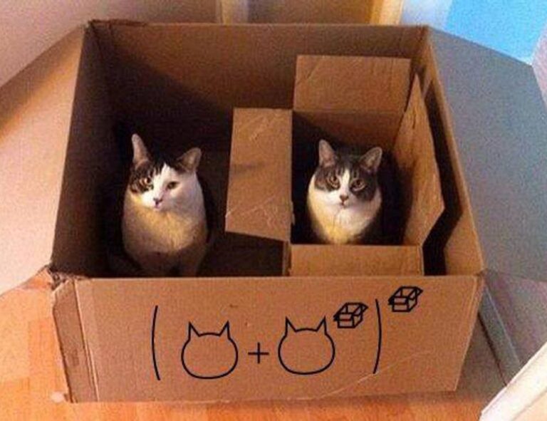 mr heang update fake