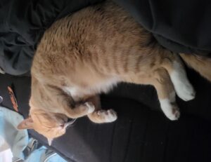 roblox poppetje kleurplaat