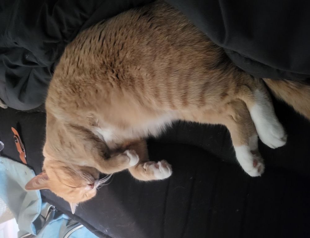 roblox poppetje kleurplaat