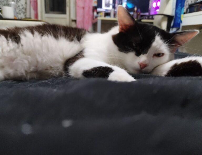 tatuaje pe deget cu initiale