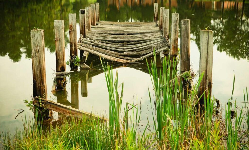 taylor swift ugly photos