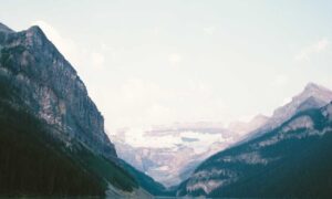 tony barber net worth