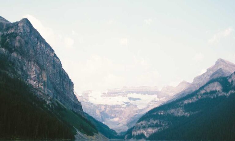 tony barber net worth