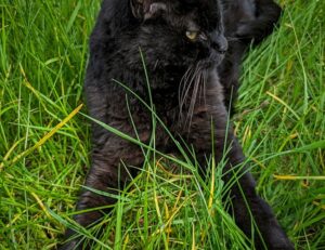 unalome tattoo senos