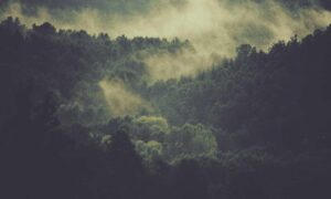 whatsapp fondos de pantalla lgbt