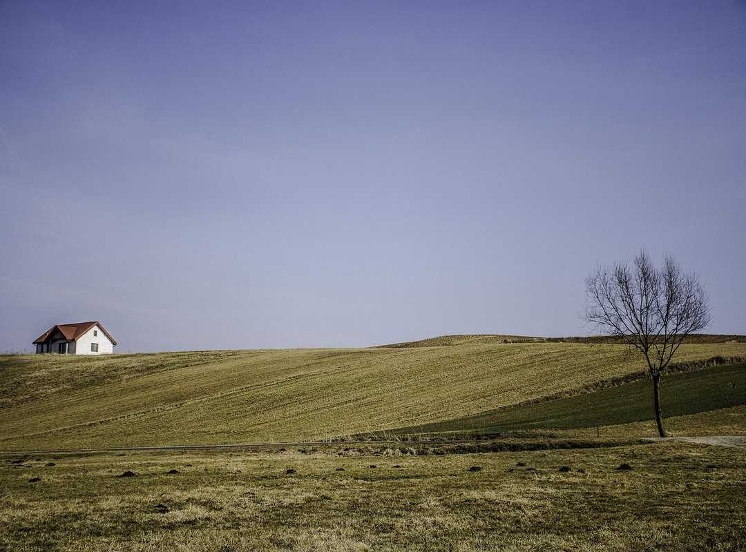 Best Tech News Feedcryptobuzz