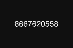 8667620558