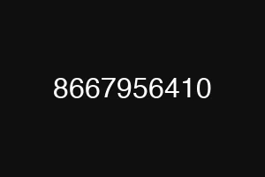 8667956410