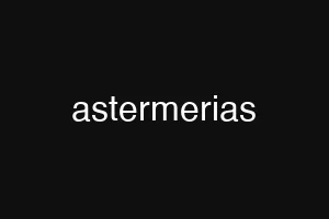 astermerias