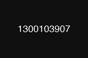 1300103907