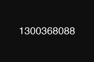 1300368088