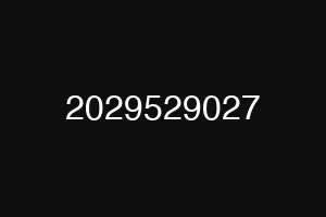 2029529027