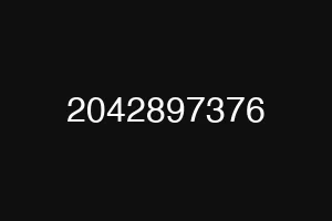 2042897376