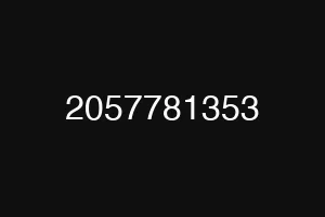 2057781353