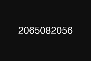 2065082056