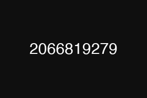 2066819279