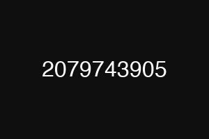 2079743905