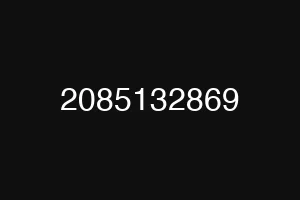 2085132869