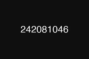 242081046