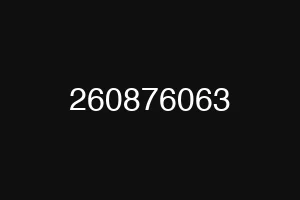 260876063