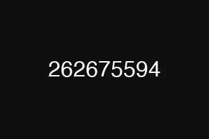 262675594
